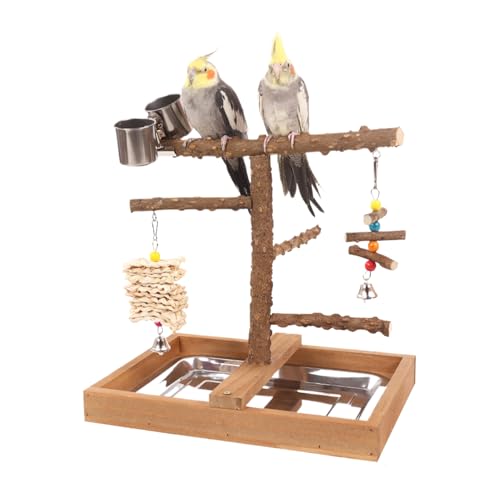 Jubilofex Vogelspielplatz Mit Sitzstangen | Wellensittich Spielplatz Mit Futterstationen - Kausicheres Spielgerüst Für Sittiche Wellensittiche Kanarienvögel Unzertrennliche Und Finken von Jubilofex