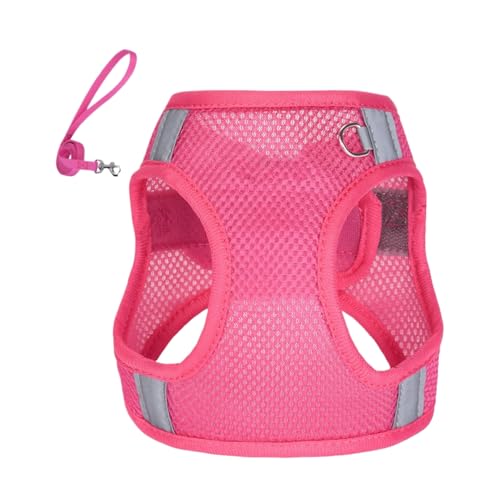 Kein Pull -Hundekabelbaum, Kein Pull -Hundekabelbaum Mit Seilset - Einstellbar Reflektierender und einstellbarer Build: Dieser verstellbare reflektierende Hundekabelbaum bietet ein komfortables und si Kein Pull -Hundekabelbaum, Kein Pull -Hundekabelbaum Mit Seilset - Einstellbar Reflektierender und einstellbarer Build: Dieser verstellbare reflektierende Hundekabelbaum bietet ein komfortables und si von Jubilofex