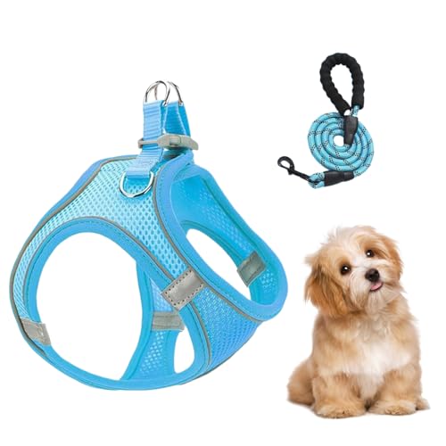 Kleines Hundekabelbaum und Leinen Set - Reflektierende No -Choke -Haustier -Weste, atmungsaktive reflektierende Welpen Kätzchenkatze Weste für Wanderung Veterinärbesuche Trainingauto Travel Campingfah von Jubilofex