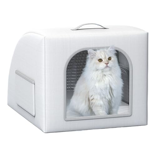 Respressy Catto | Canci für Außen- und Innenräume, zusammenklappbar, Eisbehälter, tragbare Box für Tiere Respressy Catto | Canci für Außen- und Innenräume, zusammenklappbar, Eisbehälter, tragbare Box für Tiere von Jubilofex