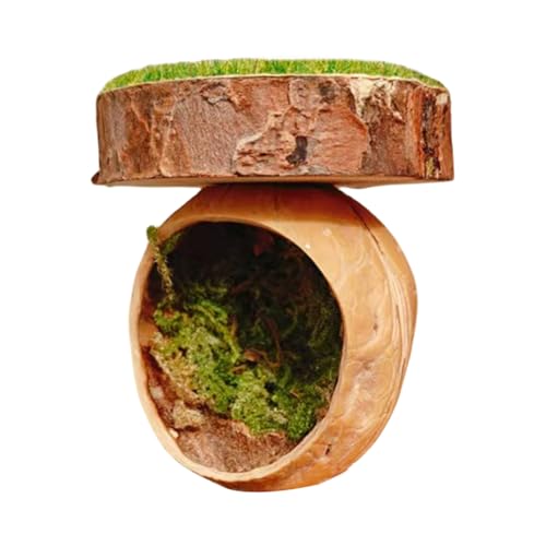 Spinnenheilung, Magnetische Sprungspinne Versteck Lebensräume | Handgefertigtes Reptiles Amphibienzubehör Magnetisch Für Tarantula House Cage Kleine Haustiere Ästhetisches Und Funktionales Setup: Komb von Jubilofex