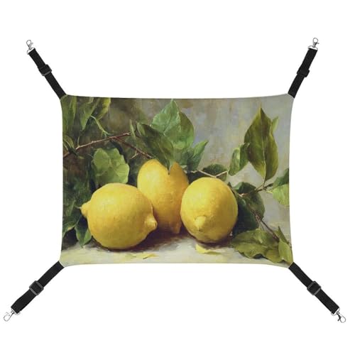 Jubonexis Hree Zitronen auf einem Tisch, atmungsaktive Haustier-Hängematte mit verstellbaren Riemen, wendbar, Katzenbett, Hundematten Jubonexis Hree Zitronen auf einem Tisch, atmungsaktive Haustier-Hängematte mit verstellbaren Riemen, wendbar, Katzenbett, Hundematten von Jubonexis