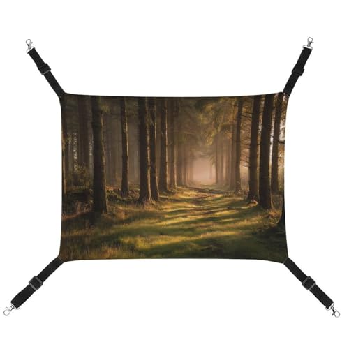 Jubonexis Schöner Wald mit hohen Bäumen, Sonnenlicht, atmungsaktive Haustierhängematte mit verstellbaren Riemen, wendbar, Katzenbett, Hundematten von Jubonexis