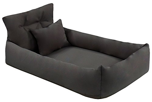 Juelle Orthopädisches Hundebett Kunstleder Hundesofa mit Orthopädischer Matratze für Große Hunde Abnehmbarer Bezug, Maschinenwaschbar, Hugo L-XXL (Grafit), XL - 120x85x20 cm von Juelle
