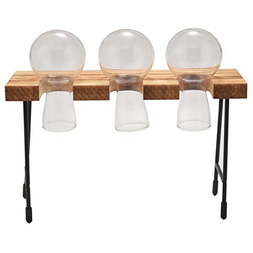 Jufjsfy Desktop Plant Terrarium mit HolzstäNder 3 Zwiebelvasen Glas Pflanzgefäß für Pflanzen Home Garden Office Dekoration Jufjsfy Desktop Plant Terrarium mit HolzstäNder 3 Zwiebelvasen Glas Pflanzgefäß für Pflanzen Home Garden Office Dekoration von Jufjsfy