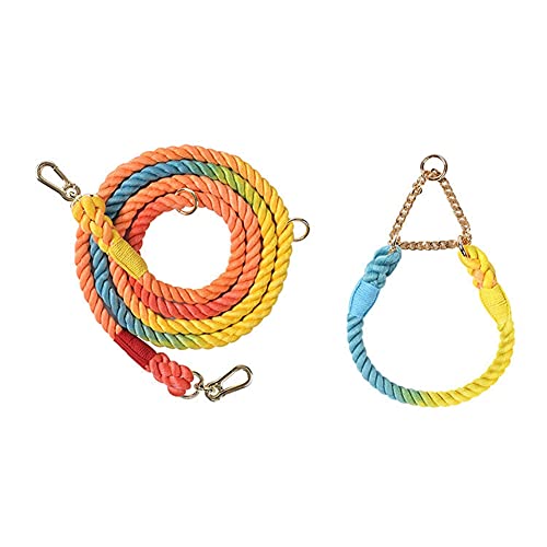 Jufjsfy Farbverlauf Farbe Hund Half Prise Kragen Hunde Leinen Seil Gurt Haustier Draussen Walking Training Freien Langes Traktion Seil -B von Jufjsfy