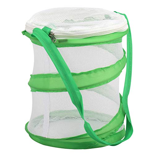 Jufjsfy Kleine Gottesanbeterin Stick Insect Butterfly Pop-Up Cage GehäUse GehäUse von Jufjsfy