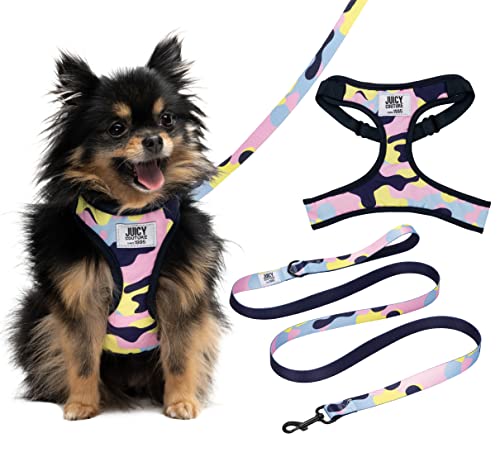 Juicy Couture Colorful Camo Hundegeschirr und Leine, Set, verstellbares Welpengeschirr mit Welpenleine und Netzpolsterung, Hundegeschirr, klein Juicy Couture Colorful Camo Hundegeschirr und Leine, Set, verstellbares Welpengeschirr mit Welpenleine und Netzpolsterung, Hundegeschirr, klein von Juicy Couture