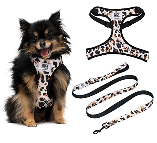 Juicy Couture Hundegeschirr und Leine, Leopardenmuster, verstellbar, mit Welpenleine und Netzpolsterung, Größe M Juicy Couture Hundegeschirr und Leine, Leopardenmuster, verstellbar, mit Welpenleine und Netzpolsterung, Größe M von Juicy Couture