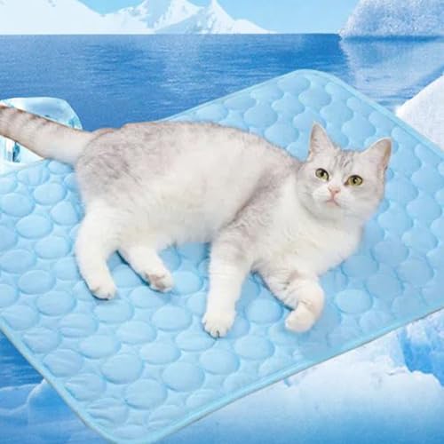 Jukeoiu Erfrischender Teppich Für Hund Und Katze | Erfrischende Hundematte Für Hunde Und Katzen, Accessoire Für Tiere Welpen Senioren Haus Garten Terrasse Wohnzimmer Schlafzimmer von Jukeoiu