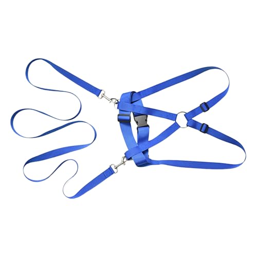 Jukeoiu Kinder Geschirr - Outdoor Sicherheitsleine Für Kleinkinder - Ergonomisches Anti-Verlauf-Geschirr Mit Führleine Für Outdoor, Spaziergänge, Camping & Abenteuer von Jukeoiu