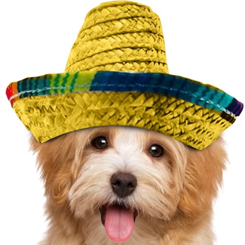 Jukeoiu Mini Sombreros,Geflochtene Kleine Sombrero Hütchen - Weitkrempige Kostüm Deko Für Kindergeburtstag Hundefeier,Für Kindergeburtstage Haustiere Partys von Jukeoiu