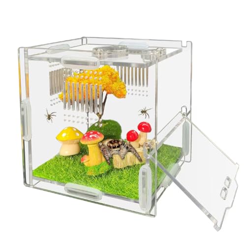 Julang Springspinnengehege aus Acryl, Terrarium für springende Spinnen, Gehege-1, 11,5 x 11 x 10,5 cm Julang Springspinnengehege aus Acryl, Terrarium für springende Spinnen, Gehege-1, 11,5 x 11 x 10,5 cm von Julang
