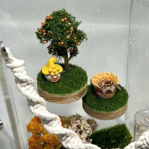 Springspinne Gehege Zubehör - Naturholz Handgefertigte Mini Waldplattformen mit Magnetbefestigung zum Klettern, Ausruhen und Erkunden Springspinne Gehege Zubehör - Naturholz Handgefertigte Mini Waldplattformen mit Magnetbefestigung zum Klettern, Ausruhen und Erkunden von Julang