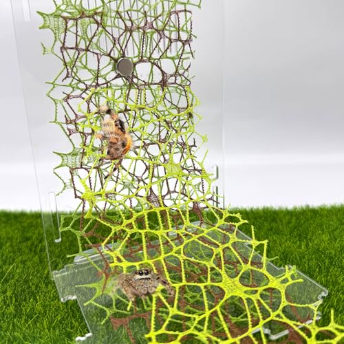 Springspinnengehege Zubehör, 3 Farben, gewebtes Moosband mit Magneten, für Springspinnen, Lebensraum, Spoods Klettern, 6 Stück Springspinnengehege Zubehör, 3 Farben, gewebtes Moosband mit Magneten, für Springspinnen, Lebensraum, Spoods Klettern, 6 Stück von Julang