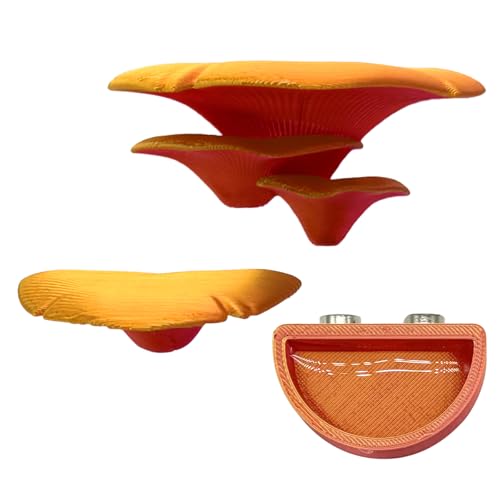 Springspinnengehege Zubehör, 3 Stück, Pilzregal & Wasserschale mit Magneten, springende Spinne Kletterplattformen, Lebensraum Dekorieren, Zubehör (Gold) von Julang