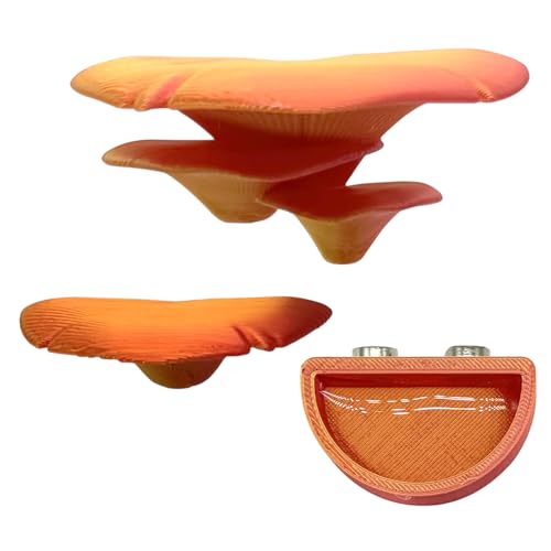 Springspinnengehege Zubehör, 3 Stück, Pilzregal & Wasserschale mit Magneten, springende Spinne Kletterplattformen, Lebensraum Dekorieren, Zubehör (Orange Rot) von Julang