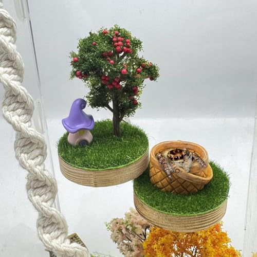 Springspinnengehege Zubehör - Naturholz Handgefertigte Mini-Waldplattformen mit Magnetbefestigung zum Klettern, Ausruhen und Erkunden -2 Springspinnengehege Zubehör - Naturholz Handgefertigte Mini-Waldplattformen mit Magnetbefestigung zum Klettern, Ausruhen und Erkunden -2 von Julang
