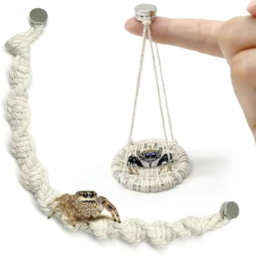 Springspinnenseilbrücke mit Magneten, natürliches Baumwollseil, handgefertigt, Springspinne, Zubehör für mittelgroße Springspinnengehege, 2 Stück Springspinnenseilbrücke mit Magneten, natürliches Baumwollseil, handgefertigt, Springspinne, Zubehör für mittelgroße Springspinnengehege, 2 Stück von Julang