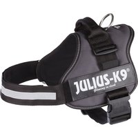 JULIUS-K9® Powergeschirr - anthrazit - Brustumfang 63 - 85 cm (Größe 1/L) von Julius-K9
