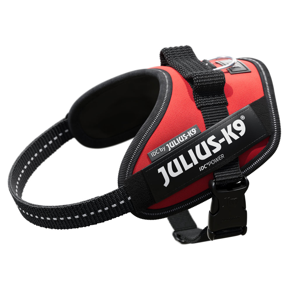 JULIUS-K9 IDC®-Powergeschirr - rot - Größe XS: Brustumfang 40 - 53 cm von Julius-K9