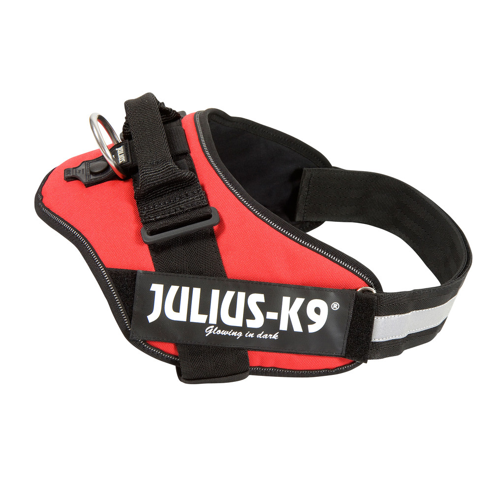 Julius-K9® Hundegeschirr Power IDC rot, Breite: ca. 50 mm, Bauchumfang: ca. ab 110 cm von Julius-K9