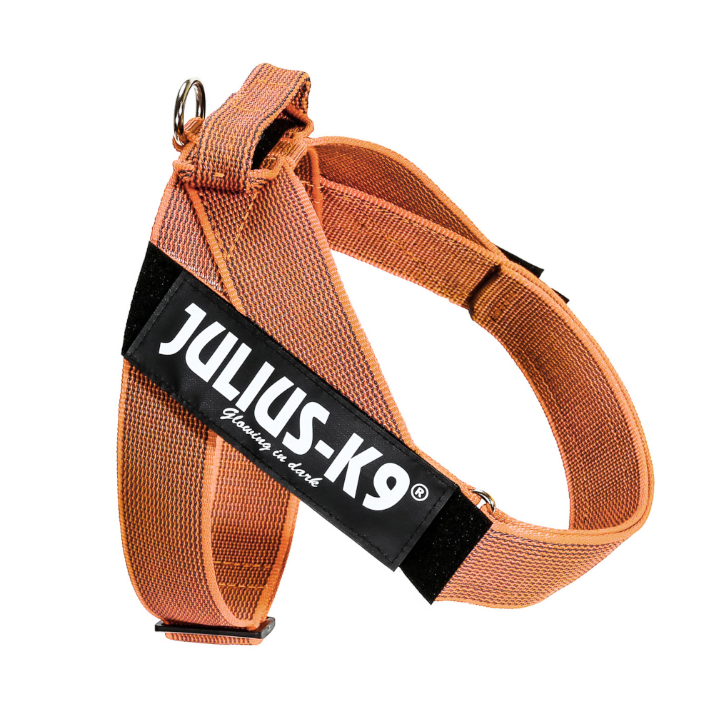 Julius-K9 IDC® Color & Grey Gurtgeschirr, orange/grau - Größe L/1: Brustumfang 63 - 85 cm von Julius-K9
