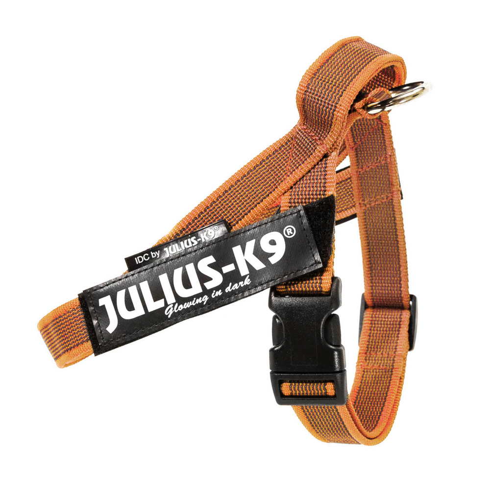 Julius-K9 IDC® Color & Grey Gurtgeschirr, orange/grau - Größe S/Mini: Brustumfang 49 - 67 cm von Julius-K9