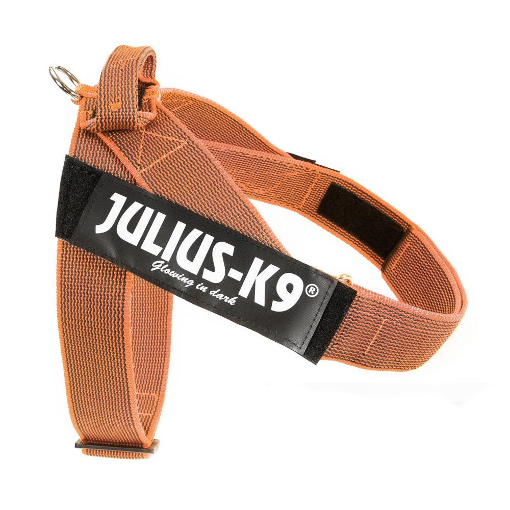 Julius-K9 IDC® Color & Grey Gurtgeschirr, orange/grau - Größe: XL/2: Brustumfang 71 - 96 cm von Julius-K9
