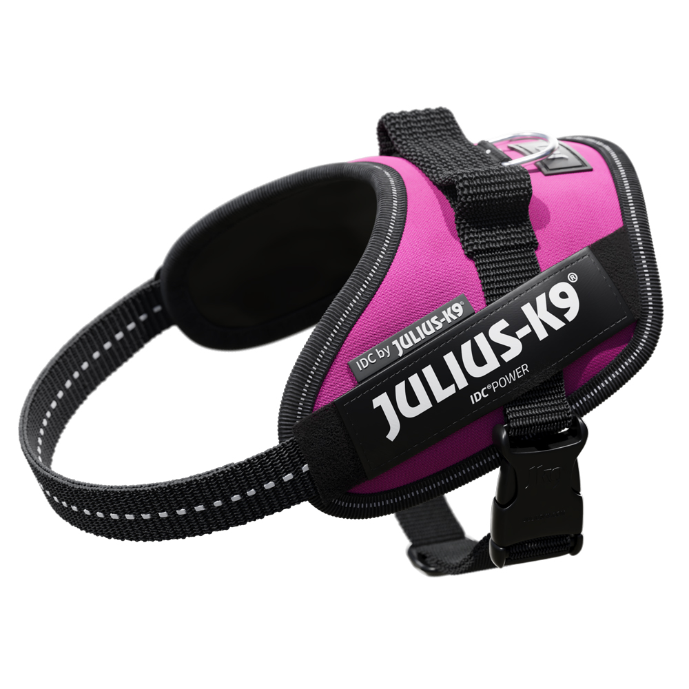 Julius-K9 IDC Powergeschirr, dunkelpink - Größe XS: Brustumfang 40 - 53 cm Julius-K9 IDC Powergeschirr, dunkelpink - Größe XS: Brustumfang 40 - 53 cm von Julius-K9