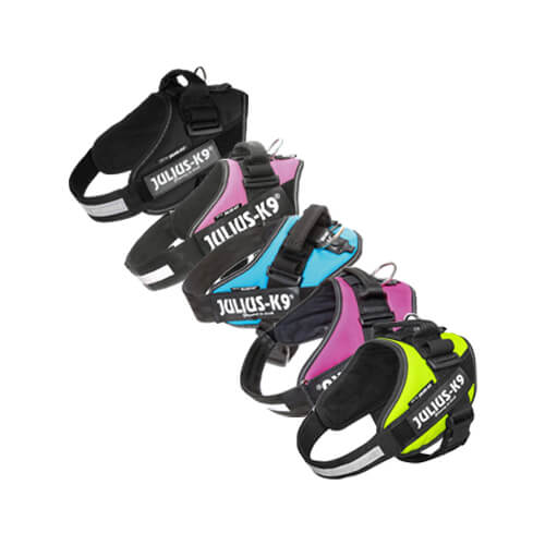 Julius-K9 IDC Powergeschirr Baby 2 - XXS - Anthrazit Julius-K9 IDC Powergeschirr Baby 2 - XXS - Anthrazit von Julius K9