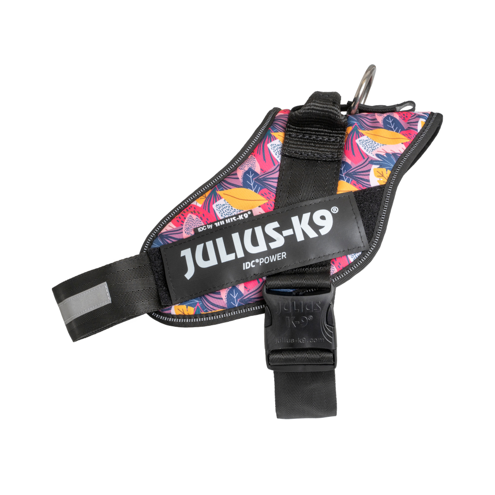 Limited Edition Julius-K9 IDC® Powerharness, Leaf 2 - Größe XL/2: Brustumfang 71 - 96 cm von Julius-K9