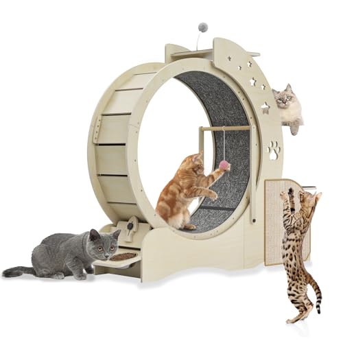 Julymoda Großes Katzenlaufrad Φ80cm, 5 in 1 Katzenrad Mit Katzhaus, Spielstation, Kratzpads, 2 Näpfen Und Spielzeug - Laufrad Mit Schloss Für Wohnungskatzen Julymoda Großes Katzenlaufrad Φ80cm, 5 in 1 Katzenrad Mit Katzhaus, Spielstation, Kratzpads, 2 Näpfen Und Spielzeug - Laufrad Mit Schloss Für Wohnungskatzen von Julymoda
