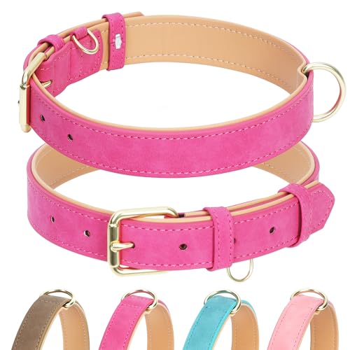 Jumpress Hundehalsband aus Leder für kleine, mittelgroße und große Hunde, weich gepolstertes Hundehalsband mit robuster goldfarbener Schnalle, langlebig und bequem für kleine Hunde, tägliches Gehen Jumpress Hundehalsband aus Leder für kleine, mittelgroße und große Hunde, weich gepolstertes Hundehalsband mit robuster goldfarbener Schnalle, langlebig und bequem für kleine Hunde, tägliches Gehen von Jumpress