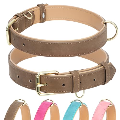 Jumpress Hundehalsband aus Leder für kleine Hunde, weich gepolstertes Hundehalsband aus Leder mit robuster goldfarbener Schnalle, langlebig und bequem, Braun, S Jumpress Hundehalsband aus Leder für kleine Hunde, weich gepolstertes Hundehalsband aus Leder mit robuster goldfarbener Schnalle, langlebig und bequem, Braun, S von Jumpress