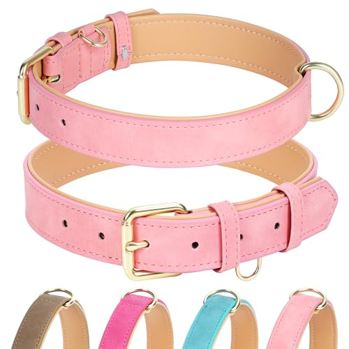Jumpress Hundehalsband aus Leder für kleine, mittelgroße und große Hunde, weich gepolstertes Hundehalsband mit strapazierfähiger goldfarbener Schnalle, langlebig und bequem für kleine Hunde, den Jumpress Hundehalsband aus Leder für kleine, mittelgroße und große Hunde, weich gepolstertes Hundehalsband mit strapazierfähiger goldfarbener Schnalle, langlebig und bequem für kleine Hunde, den von Jumpress