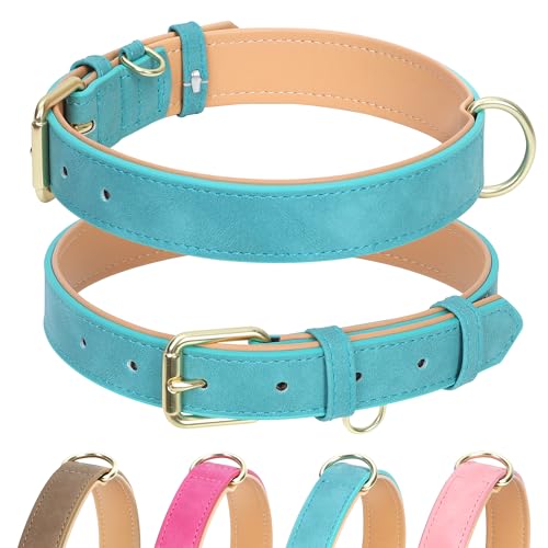 Jumpress Hundehalsband aus Leder für kleine Hunde, weich gepolstertes Hundehalsband aus Leder mit robuster goldfarbener Schnalle, langlebig und bequem, Blaugrün, S Jumpress Hundehalsband aus Leder für kleine Hunde, weich gepolstertes Hundehalsband aus Leder mit robuster goldfarbener Schnalle, langlebig und bequem, Blaugrün, S von Jumpress