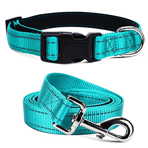Jumpress Strapazierfähiges, reflektierendes Hundehalsband und Leine, Set mit doppellagigem Nylon, weiches Neopren-gepolstertes Hundehalsband mit 1.5 m starker Haustier-Leine, Halsumfang: 35.6,69.9 cm Jumpress Strapazierfähiges, reflektierendes Hundehalsband und Leine, Set mit doppellagigem Nylon, weiches Neopren-gepolstertes Hundehalsband mit 1.5 m starker Haustier-Leine, Halsumfang: 35.6,69.9 cm von Jumpress