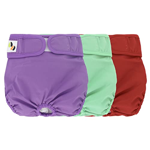 Wiederverwendbare Hundewindeln für Hündinnen, sehr saugfähig, atmungsaktiv, wasserdicht, Hitzehosen für Hündinnen – 3er-Pack, waschbar (Extra Groß Fit für 25"- 35" Taille Mehrfarbig) von Jumpy Moo's