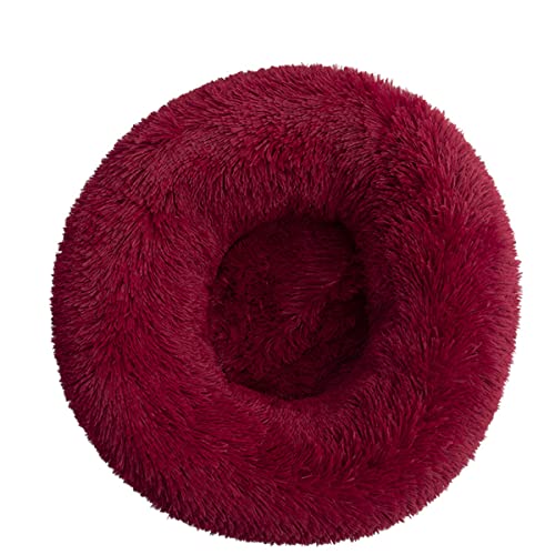 JunJiale Beruhigendes Hundebett für kleine Hunde, bequeme Donut-Hundebetten für mittelgroße und große Hunde, weiches Anti-Angst-Haustierbett für Hunde und Katzen, Durchmesser 40 cm JunJiale Beruhigendes Hundebett für kleine Hunde, bequeme Donut-Hundebetten für mittelgroße und große Hunde, weiches Anti-Angst-Haustierbett für Hunde und Katzen, Durchmesser 40 cm von JunJiale