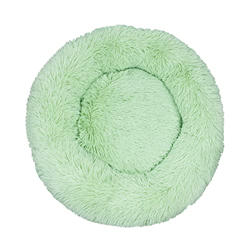 JunJiale Beruhigendes Hundebett für kleine Hunde – Donut, waschbar, kleines Haustierbett, Anti-Angst, rund, flauschig, Plüsch, Kunststoff, großes Katzenbett, Durchmesser 110 cm JunJiale Beruhigendes Hundebett für kleine Hunde – Donut, waschbar, kleines Haustierbett, Anti-Angst, rund, flauschig, Plüsch, Kunststoff, großes Katzenbett, Durchmesser 110 cm von JunJiale