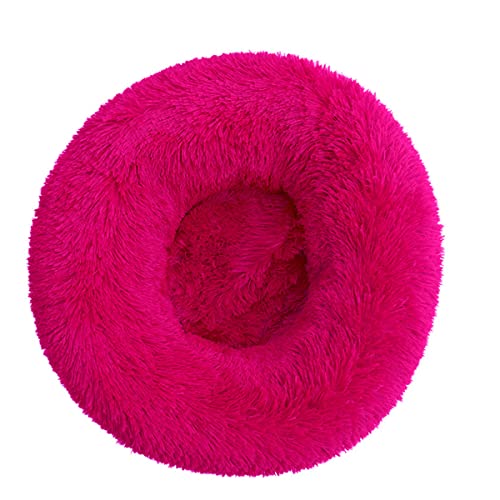 JunJiale Beruhigendes Hundebett für kleine Hunde – Donut, waschbar, kleines Haustierbett, Anti-Angst, rund, flauschig, Plüsch, Kunststoff, großes Katzenbett, Durchmesser 120 cm JunJiale Beruhigendes Hundebett für kleine Hunde – Donut, waschbar, kleines Haustierbett, Anti-Angst, rund, flauschig, Plüsch, Kunststoff, großes Katzenbett, Durchmesser 120 cm von JunJiale