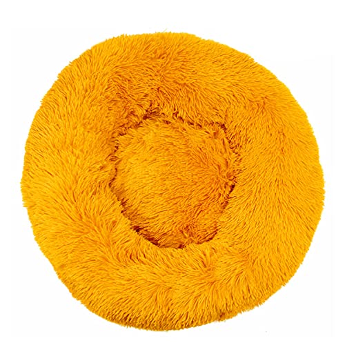 JunJiale Beruhigendes Hundebett für kleine Hunde – Donut, waschbar, kleines Haustierbett, Anti-Angst, rund, flauschig, Plüsch, Kunststoff, großes Katzenbett, Durchmesser 120 cm JunJiale Beruhigendes Hundebett für kleine Hunde – Donut, waschbar, kleines Haustierbett, Anti-Angst, rund, flauschig, Plüsch, Kunststoff, großes Katzenbett, Durchmesser 120 cm von JunJiale