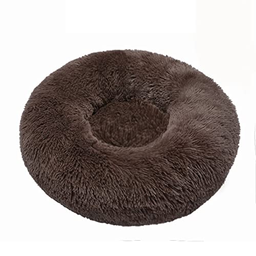 JunJiale Beruhigendes Hundebett und Katzenbett, Anti-Angst-Donut-Hunde-Kuschelbett, flauschiges Kunstplüsch-Hunde- und Katzenbett für kleine, mittelgroße Hunde und Katzen, Durchmesser 40,6 cm JunJiale Beruhigendes Hundebett und Katzenbett, Anti-Angst-Donut-Hunde-Kuschelbett, flauschiges Kunstplüsch-Hunde- und Katzenbett für kleine, mittelgroße Hunde und Katzen, Durchmesser 40,6 cm von JunJiale