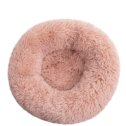 JunJiale Beruhigendes Hundebett & Katzenbett, Anti-Angst-Donut-Hundebett für kleine, mittelgroße Hunde, weiches Plüsch, rundes Haustierbett, maschinenwaschbar und rutschfeste Unterseite, 109,2 cm JunJiale Beruhigendes Hundebett & Katzenbett, Anti-Angst-Donut-Hundebett für kleine, mittelgroße Hunde, weiches Plüsch, rundes Haustierbett, maschinenwaschbar und rutschfeste Unterseite, 109,2 cm von JunJiale