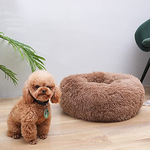 JunJiale Hundebett, Katzenbett, beruhigendes Bett, Kunstkissen, Haustier-Donut-Kuschelbett, rundes Plüschbett für große, mittelgroße und kleine Hunde und Katzen, 109,2 cm von JunJiale