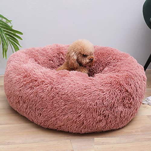 JunJiale Hundebett, Katzenbett, beruhigendes Bett, Kunstkissen, Haustier-Donut-Kuschelbett, rundes Plüschbett für große, mittelgroße und kleine Hunde und Katzen, 61 cm JunJiale Hundebett, Katzenbett, beruhigendes Bett, Kunstkissen, Haustier-Donut-Kuschelbett, rundes Plüschbett für große, mittelgroße und kleine Hunde und Katzen, 61 cm von JunJiale