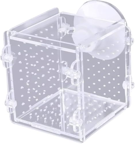 Fischzuchtbox, transparentes Acryl, multifunktionale Isolationsbox, Aquarium-Brutkasten mit Saugnäpfen für Aquarium Fischzuchtbox, transparentes Acryl, multifunktionale Isolationsbox, Aquarium-Brutkasten mit Saugnäpfen für Aquarium von Junbyuhu