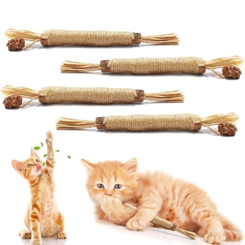 June tech Silvervine Katzenspielzeug, 4 Stück, natürliche Matatabi-Silbervin-Kaustäbchen für die Zahnreinigung von Innenräumen, interaktives Katzenminze-Spielzeug, Zahnstäbchen für Kätzchen von June tech