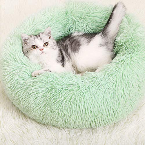 JuneJour Haustierbett für Katzen und Hunde Rundes Plüsch Hundebett Katzenbett in Doughnut-Form Farbe von JuneJour